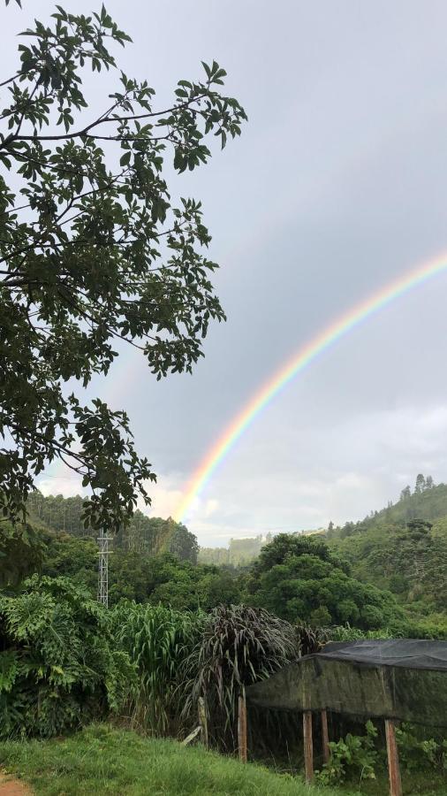 Pousada Pedra Da Mata Chales Na Montanha Munhoz Extérieur photo
