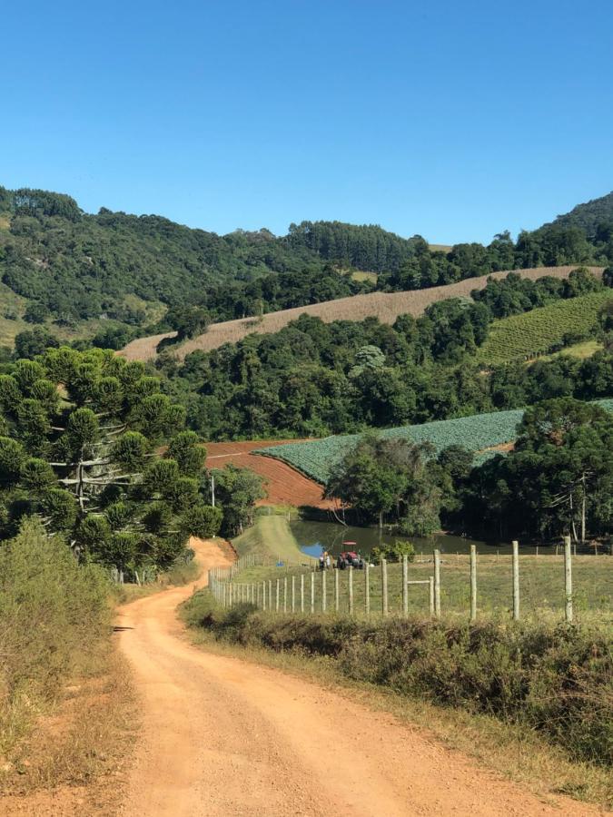Pousada Pedra Da Mata Chales Na Montanha Munhoz Extérieur photo