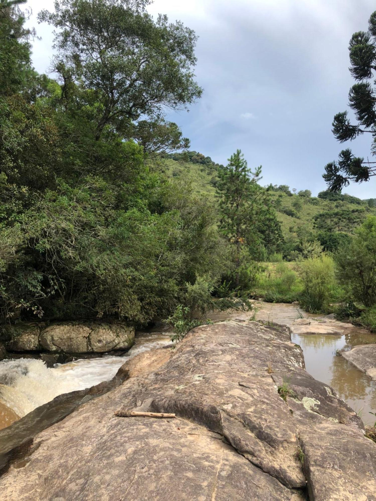 Pousada Pedra Da Mata Chales Na Montanha Munhoz Extérieur photo